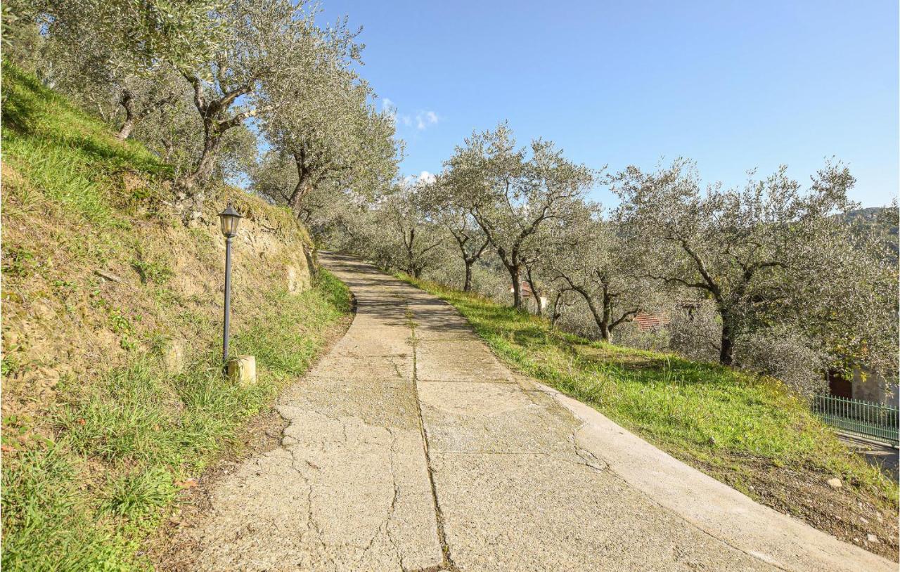 Villa Lavandaia Toscana Stiava 외부 사진